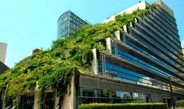 PROQUICESA edificio con naturaleza